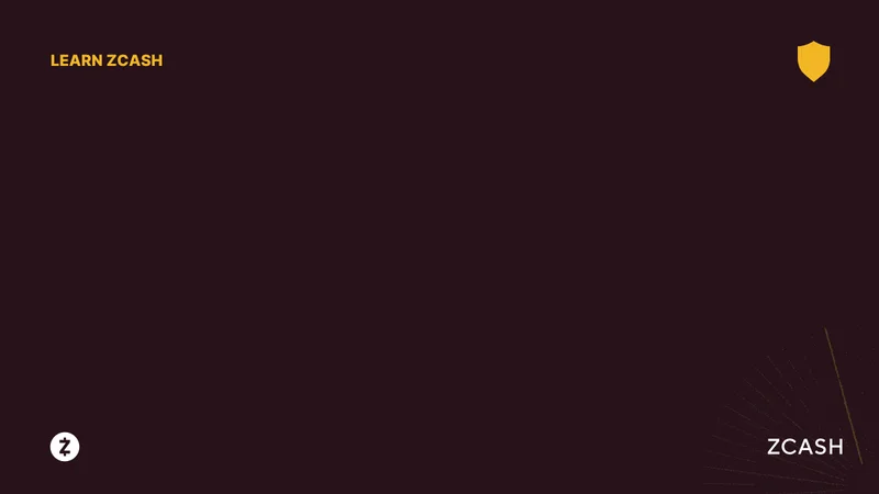 Zcash's Winklevoss-Backed Surge: What's Driving the Price and Reddit's Take